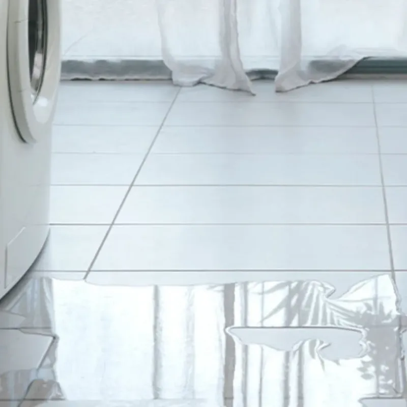 Appliance Leak Cleanup in Perry, NY