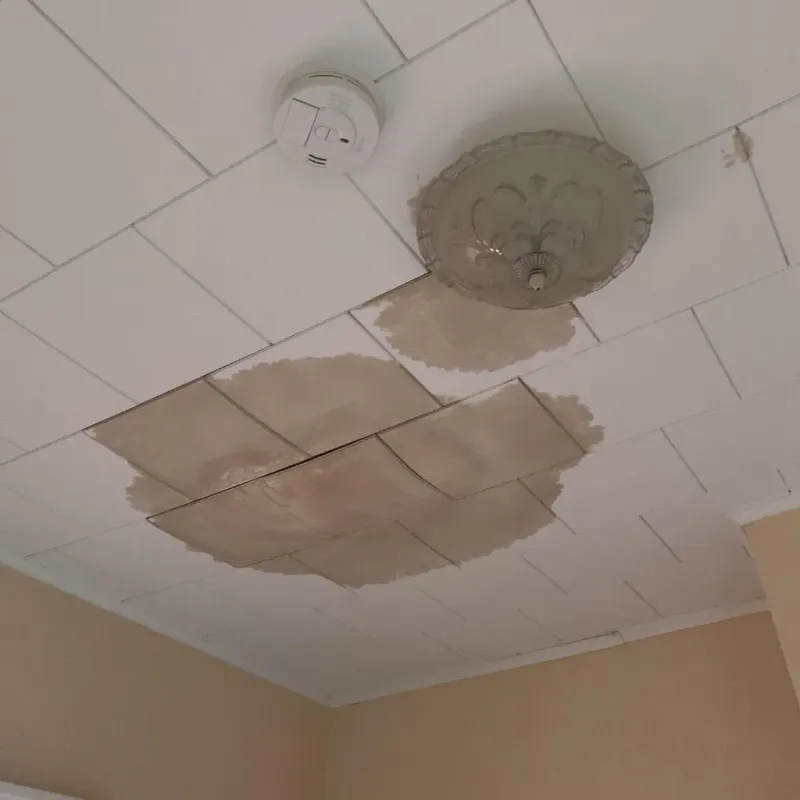 Ceiling Water Damage Repair in Perry, NY
