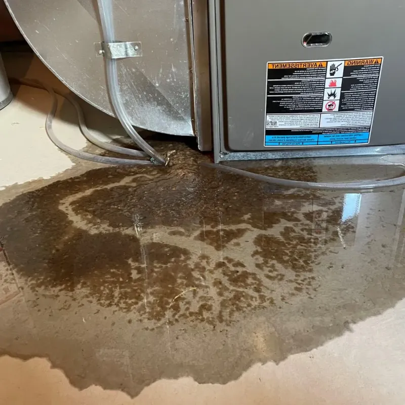 Pipe Burst and Leak Restoration in Perry, NY