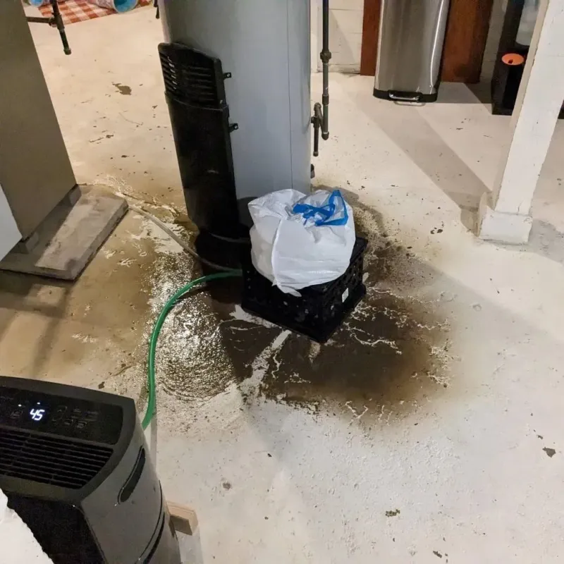 Sewage Backup Cleanup Service in Perry, NY